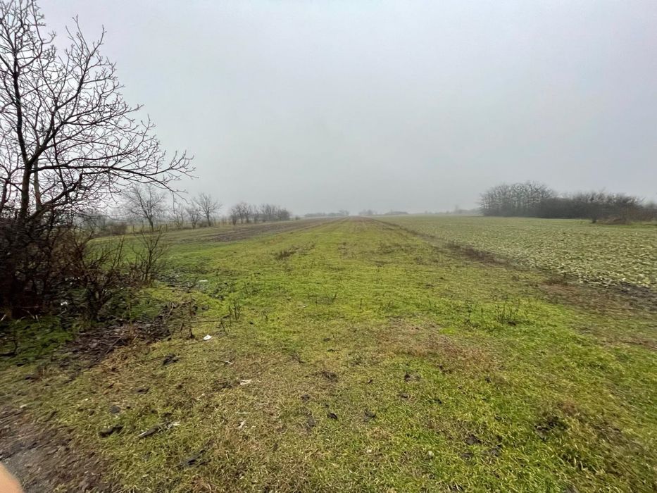 Teren intravilan + extravilan