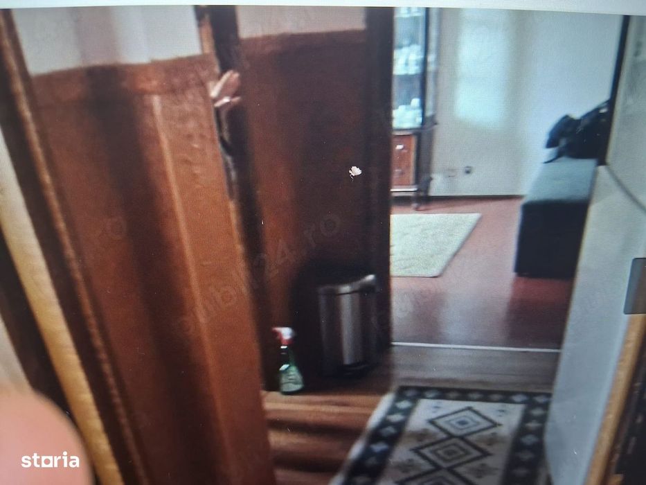 apartament 2 camere teiul doamnei