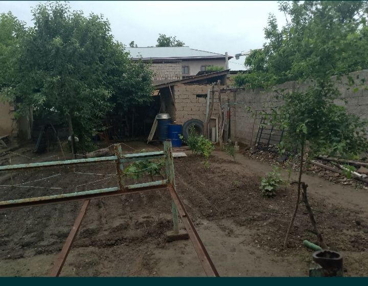 Uy sotlad zudlik blan