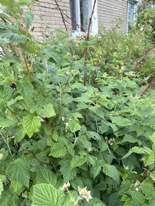 Продам дом по улице Тургумбаева