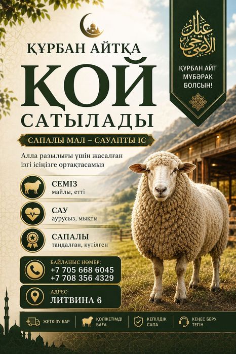 Құрбандыққа қойлар сатылады