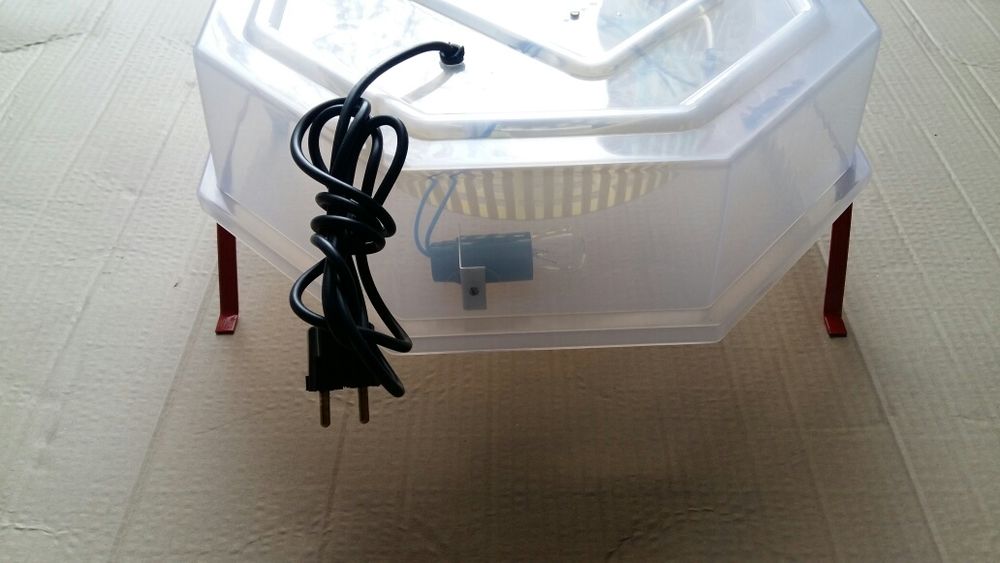 микроферма за пилета