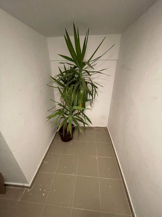 Vand boxa Pacii Residence 3 - Intrarea Canalului