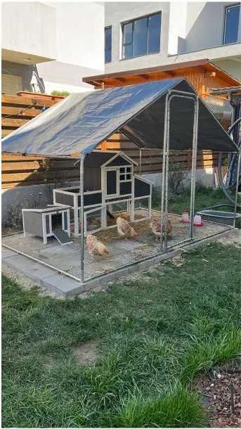 Vand tarc pentru pasari + Cotet pentru gaini + Cusca pentru iepuri + 3 Gaini, 1 Cocos și 3 pui de gaina de rasa (au inel cu nr de inregistrare)