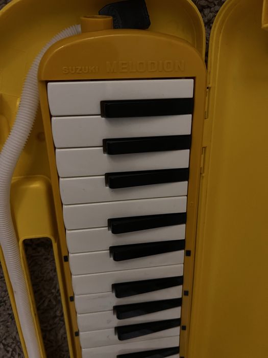 Vand  clapa floasneta (acordeon hohner)