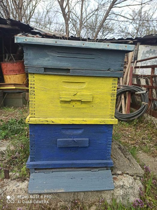 Двукорпусни Пчелни кошери