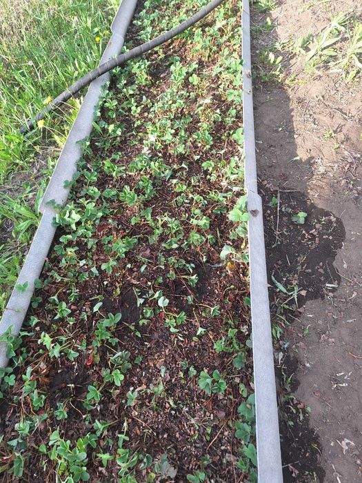 Продаю дачу р-он ЦОФ Сабурханская