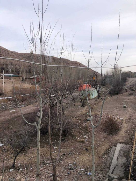 Продается земельный участок (1 гектар)