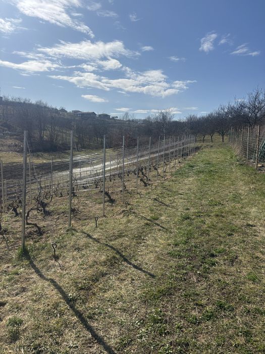 Stalpi galvanizati noi  /plasa de gard