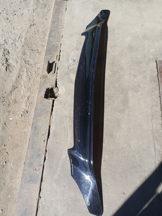 Мухобойка на LEXUS RX300