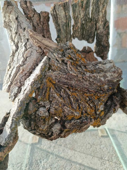 Террариум 20х20х30см.