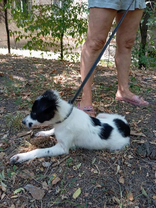 Мальчик Звоночек