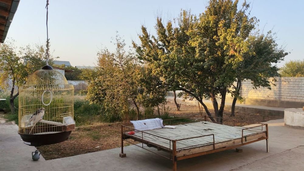 Xovli sotiladi 12 so'tix