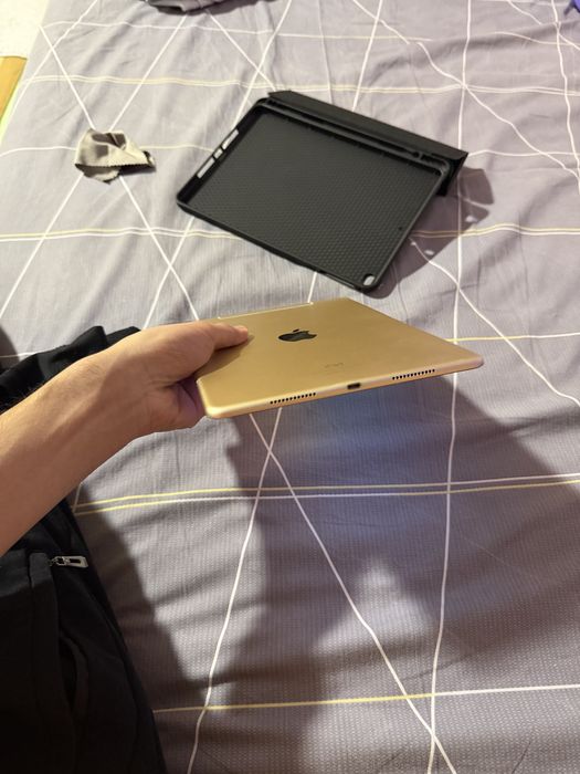 ipad pro / 256gb / sim