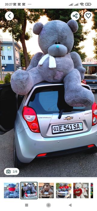 Teddy+Teddi+oq+seriy