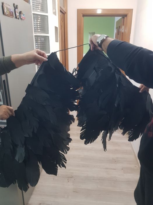 Aripi inger negru/ recuzita