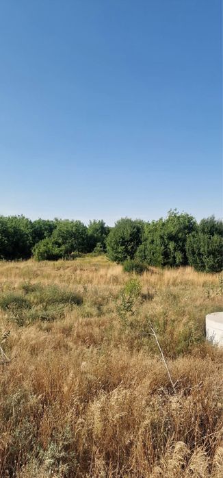 Продава се Земеделски имот в Видин, Акджамия -  кв.м за 565 €/дка - Снимка #11