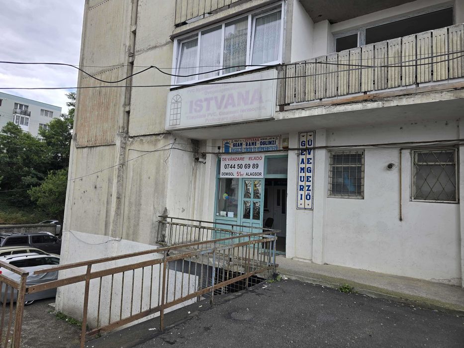 Spațiu comercial de vânzare în Sfântu Gheorghe – locație vizibilă, trafic intens și potențial investițional ridicat