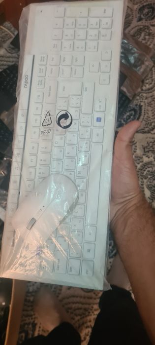 Rappo sichqoncha va klavishlar sotiladi