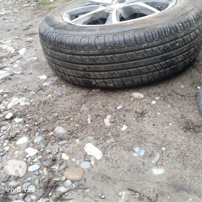 SKAD диска тульпан