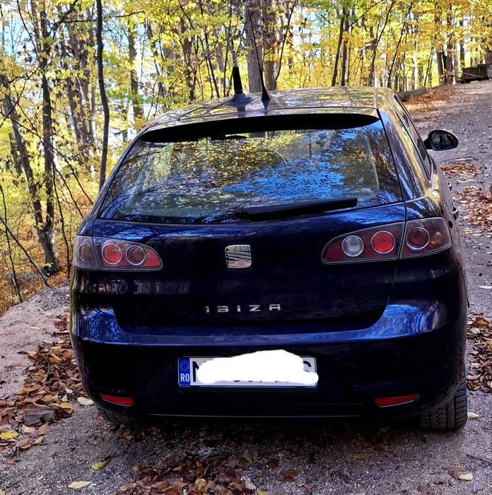 Vand Seat Ibiza an 2008