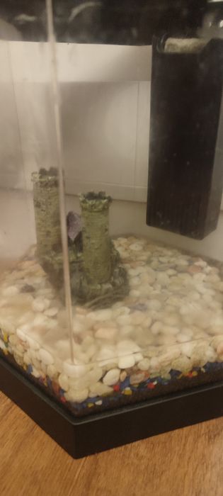 Аквариум настольный
