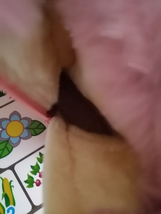 Детски ботушки н26-27