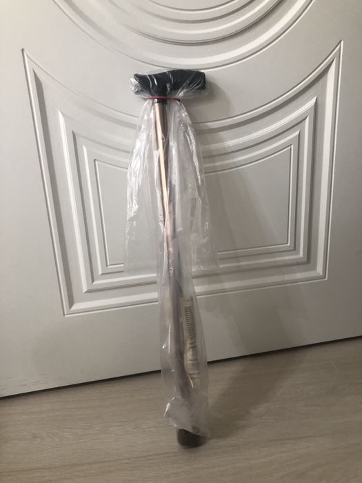 Трость (палочка)