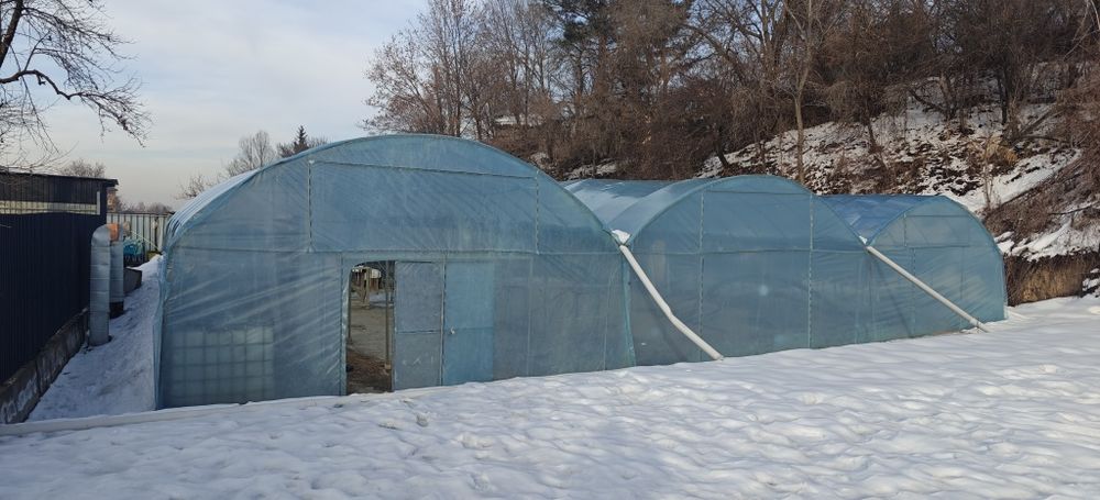 Сдается в аренду теплица 400 м2