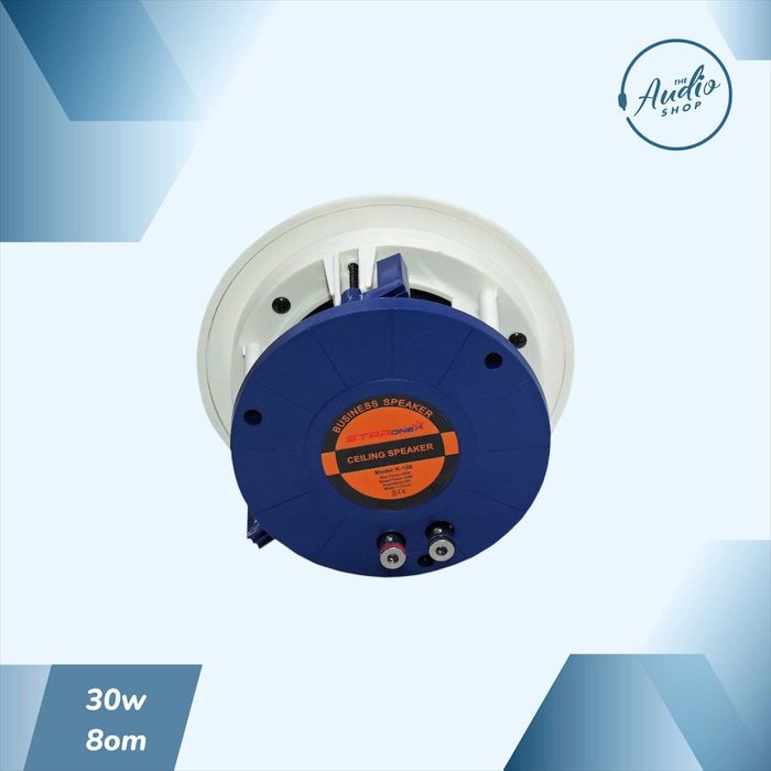 Пассивная потолочная колонка для фоновой музыки 30wat