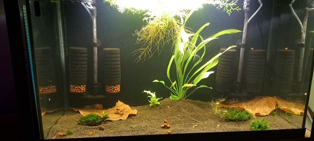 Acvariu 120L cu capac