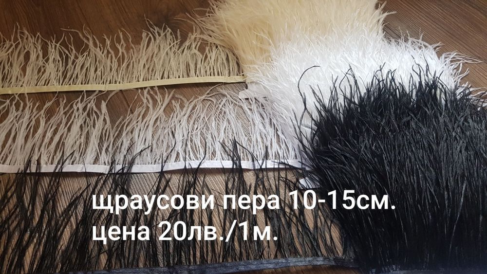 Щраусови пера на лента 10-15см.