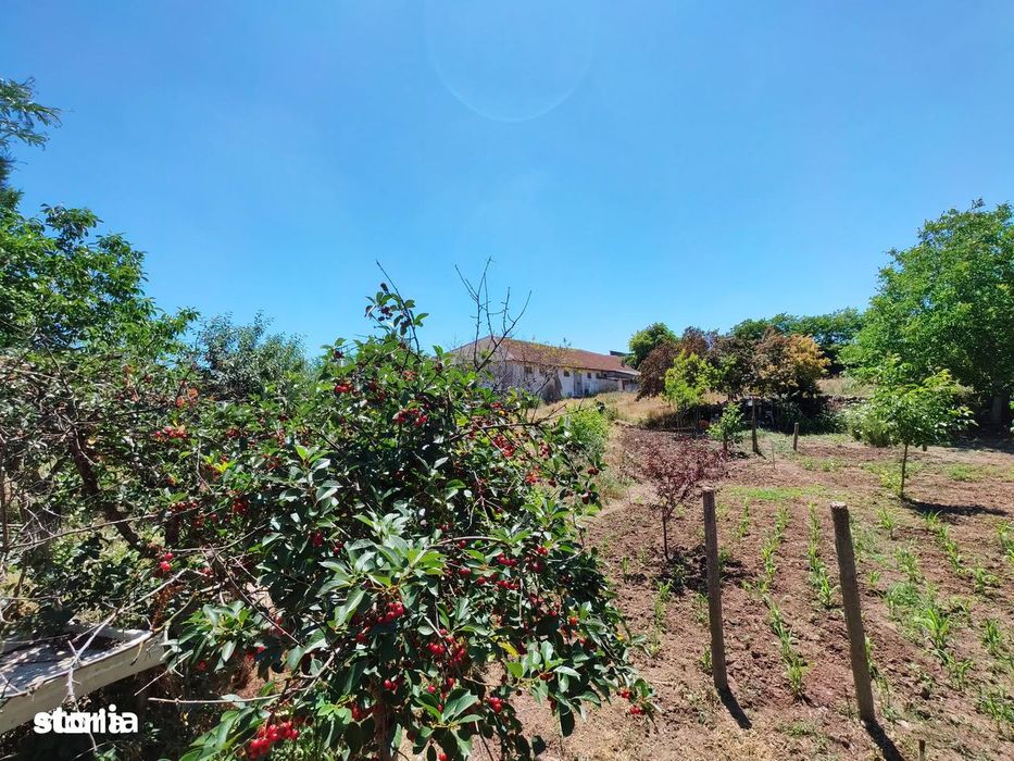 Comision0%-AlmanImobiliare-Oportunitate-TerenIntravilan-ValuLuiTraian