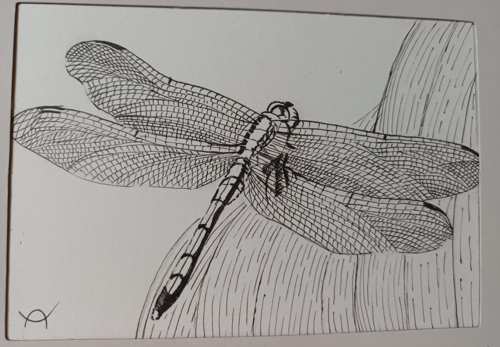 Картина  " Водно конче"