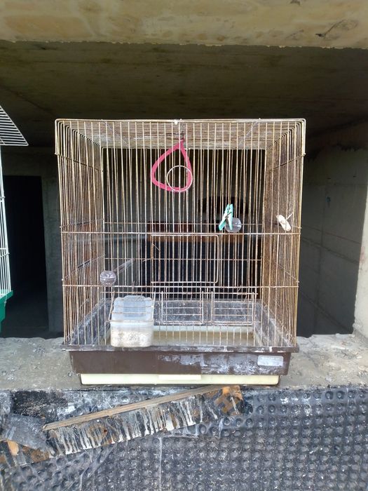 Метални клетки за птици