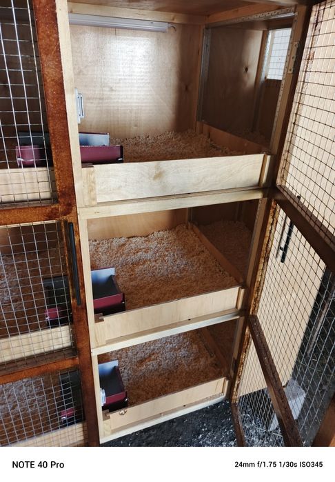 Куенлар учун куен кафас