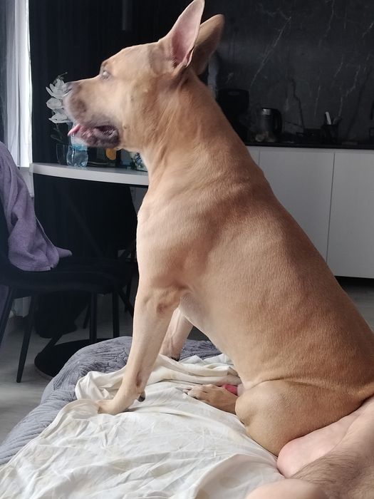 Кабель для вязки