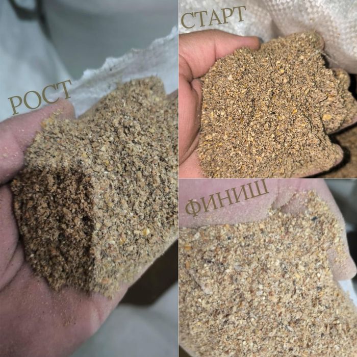 Для перепелов рост (россыпь)