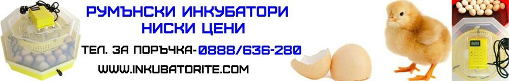 Официален вносител на Румънските инкубатори Cleo 5