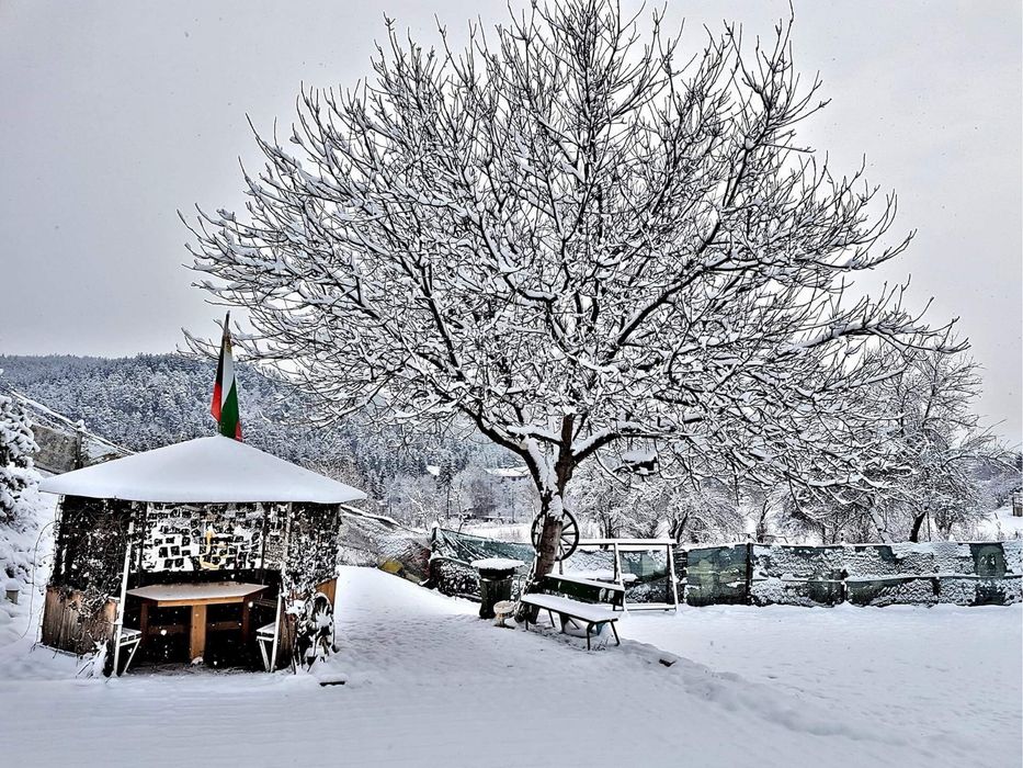 Дава се под наем Къща в Велинград - 300 кв.м за 357 € - Снимка #1