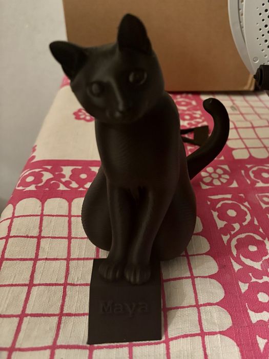 Printare si Modelare 3D