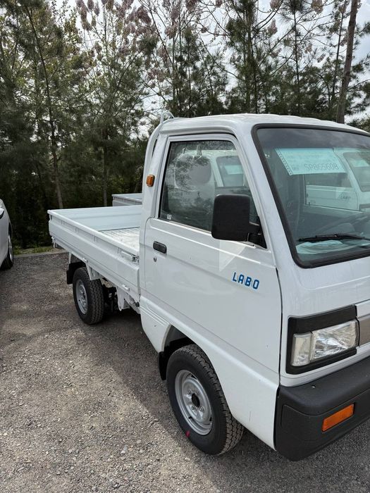 Bez prabeg Labo Damasla bor