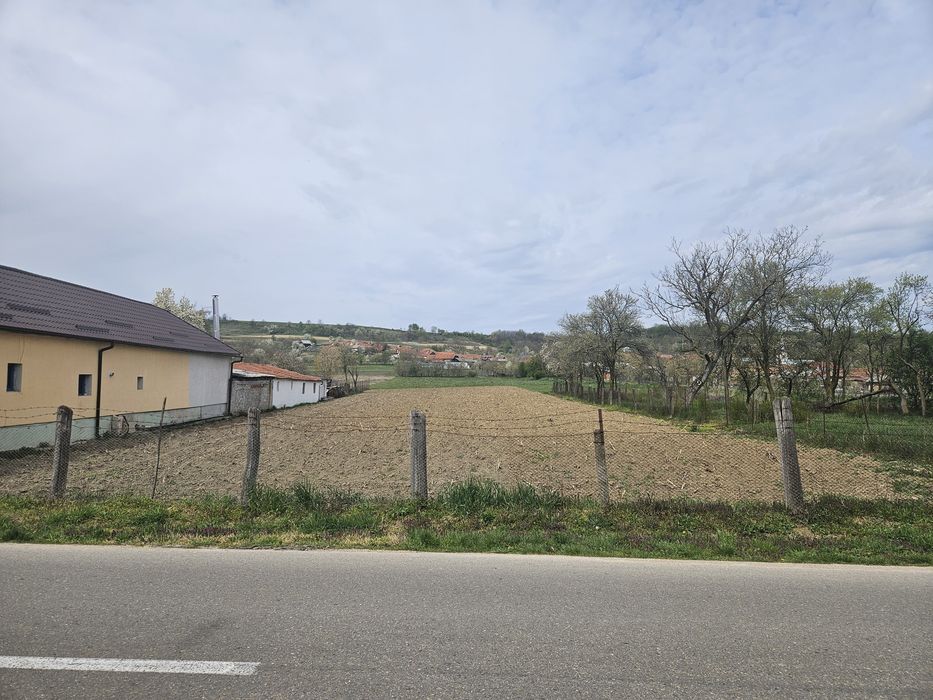 Vând teren intravilan în Petrani, 8 km de Beius, jud. Bihor
