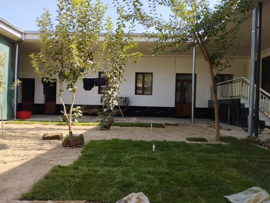 Газон     Gazon.