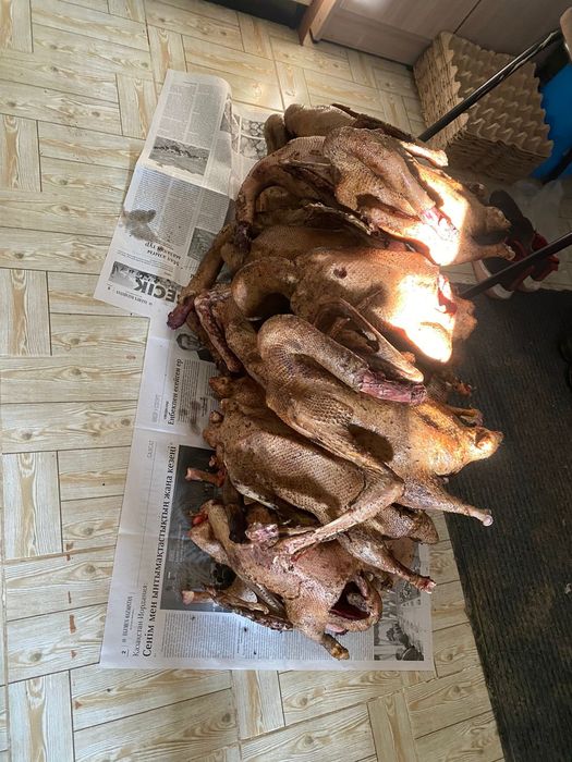 Сойылған қаз еті бар