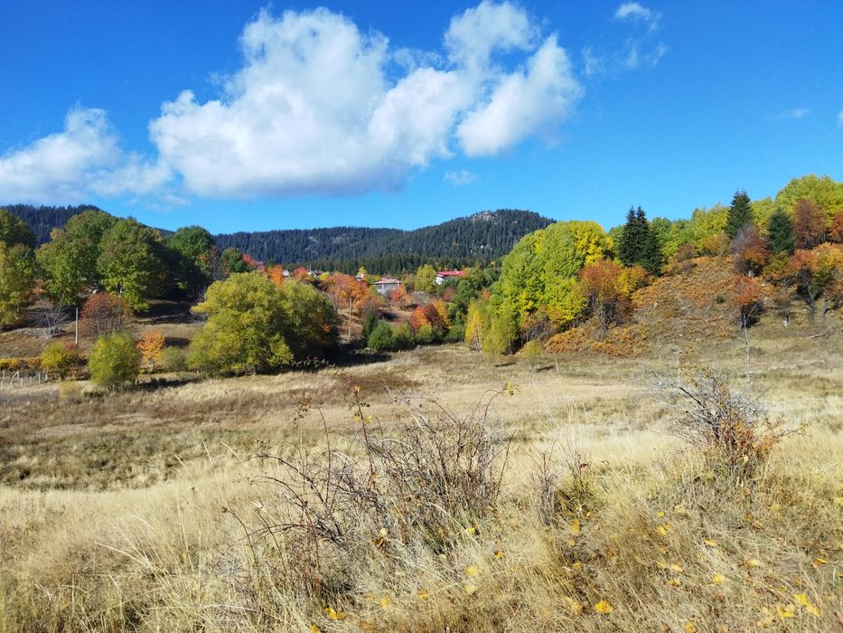 Продава се Парцел в Смолян, Езерово - 3136 кв.м за 35 €/кв.м - Снимка #2