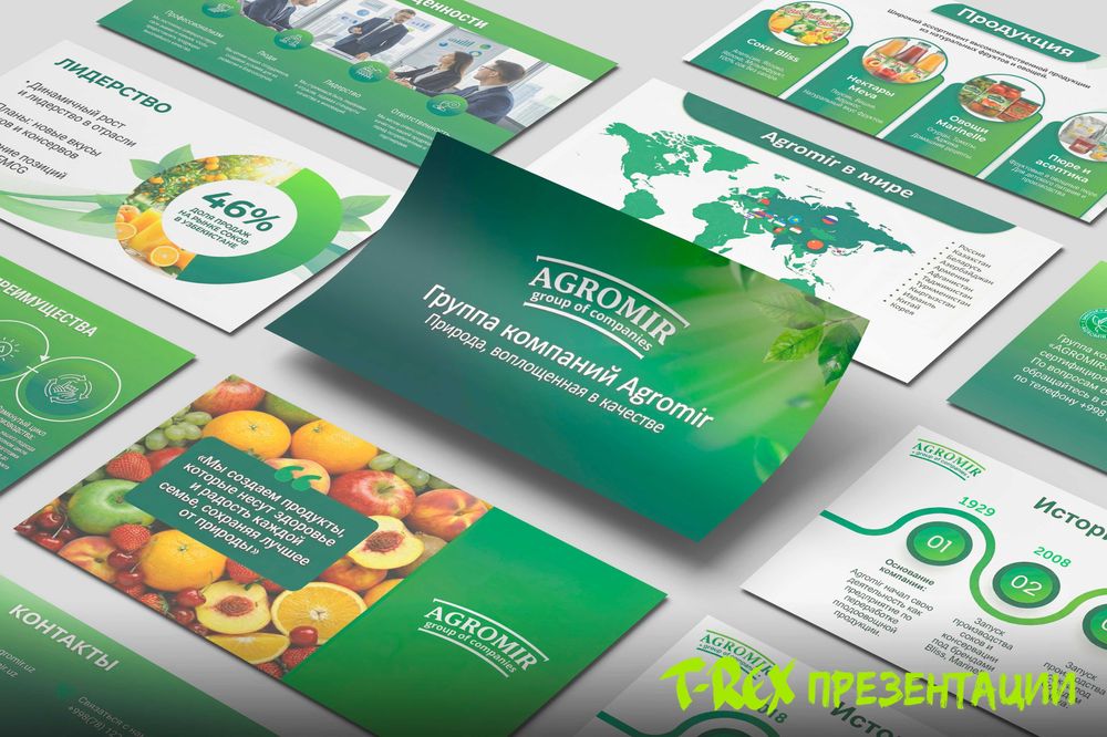 Разработка презентации / Дизайн презентаций на заказ