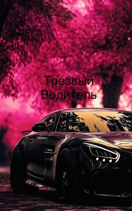 Трезвый водитель