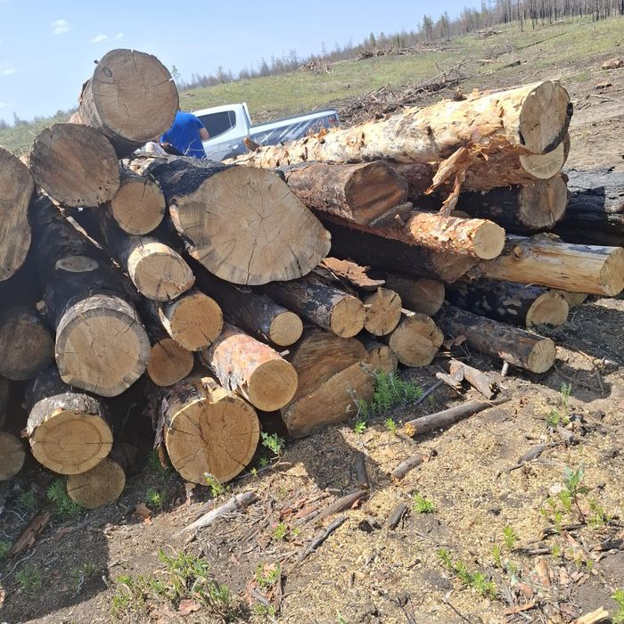 Продам деловой кругляк