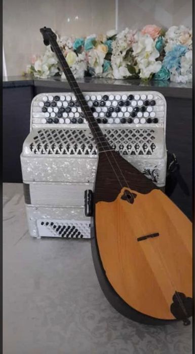 Баян домбыра